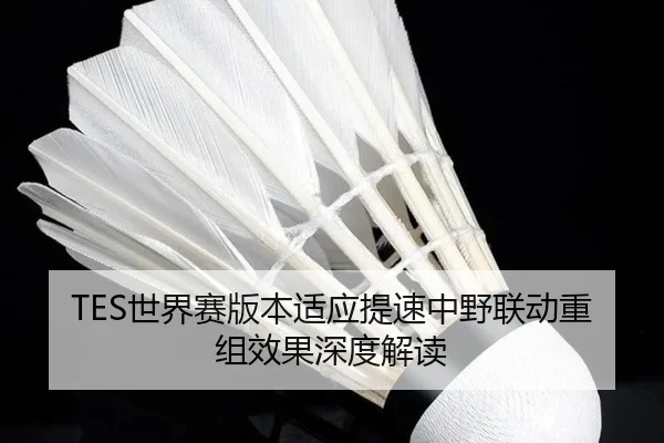 TES世界赛版本适应提速中野联动重组效果深度解读