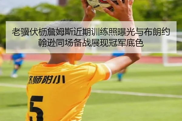 老骥伏枥詹姆斯近期训练照曝光与布朗约翰逊同场备战展现冠军底色